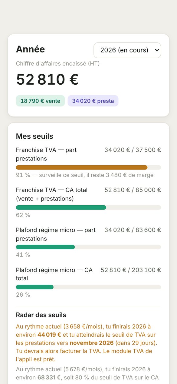 Écran Année : chiffre d'affaires encaissé et jauges des seuils de TVA et du régime micro.